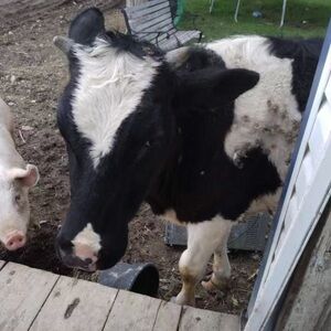 Meet your awesome Posher, Maria